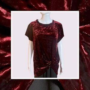 Hummingbird Red Tie Front Velvet Short Sleeve T-Shirt